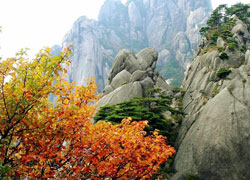 Huangshan in Autumn