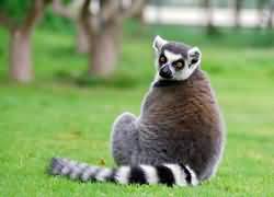 Shanghai Wild Animal Park